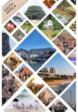 DTG south africa collage